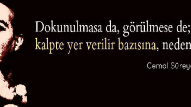 Cemal Süreyya Sözleri