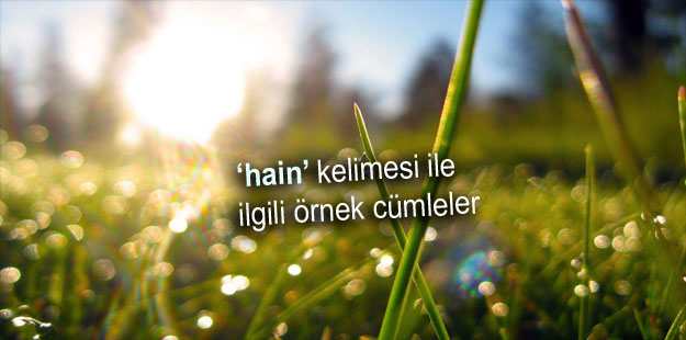 Hain ile ilgili cümleler