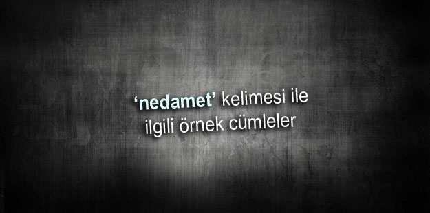 Nedamet ile ilgili cümleler