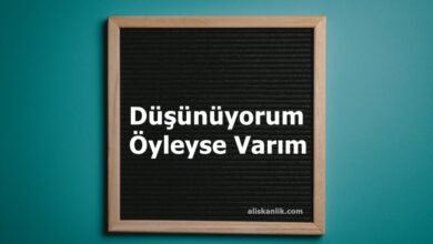 ‘Düşünüyorum Öyleyse Varım’ Sözü Ne Demektir?