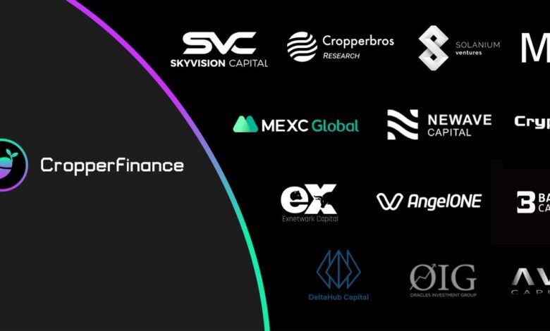 CRP Coin Nedir? CRP Coin Geleceği, Yorumları ve Fiyat Tahmini