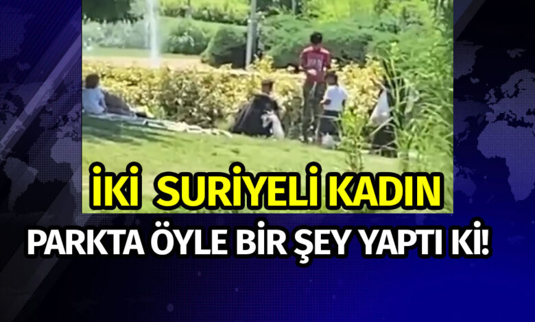 Bahçeşehir’de Parkta Kaz Çalan Suriyeliler Olayı Gerçek mi?