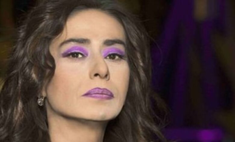 Yıldız Tilbe, sanatçılara dokunulmazlık istedi