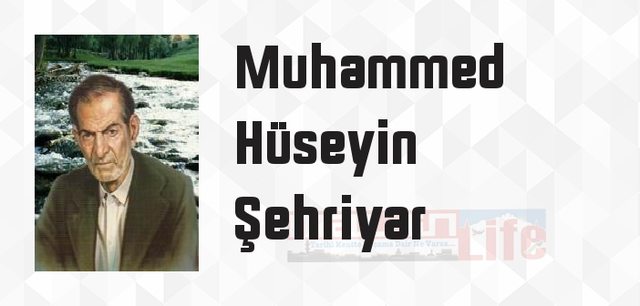 Haydar Baba - Muhammed Hüseyin Şehriyar Kitap özeti, konusu ve incelemesi