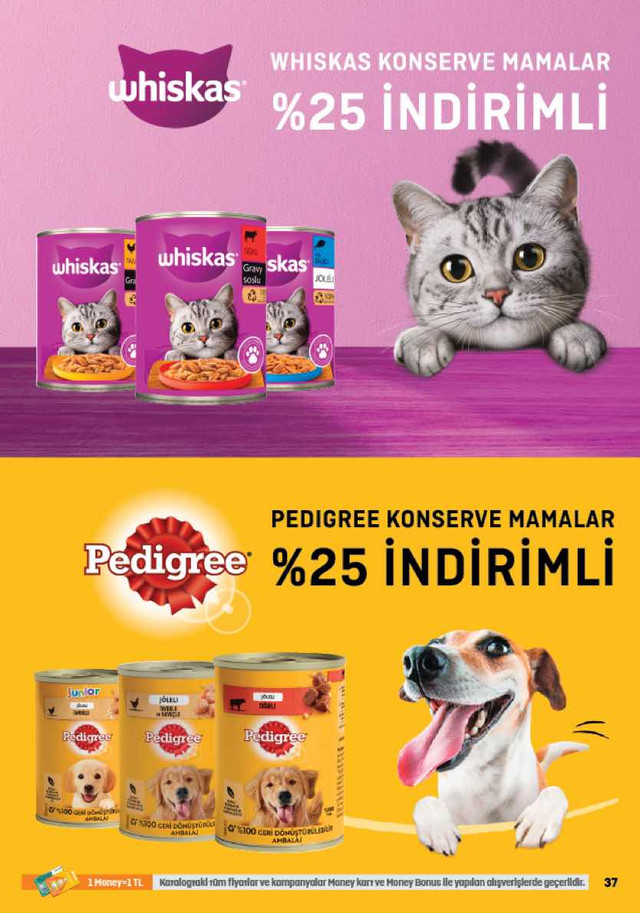 822-16subat-1mart-migroskop-adana-638120877472322863-37