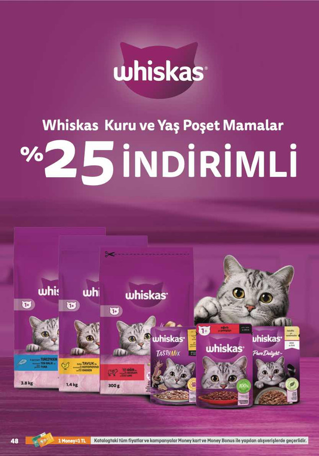 823-money-migroskop-2-15-mart-638132936920547448-048