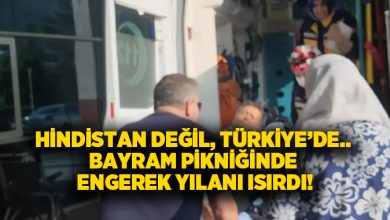 Hindistan değil, Türkiye’de.. Bayram pikniğinde engerek yılanı ısırdı!