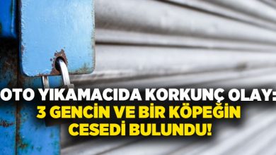 Oto yıkamacıda korkunç olay: 3 Gencin ve bir köpeğin cesedi bulundu!