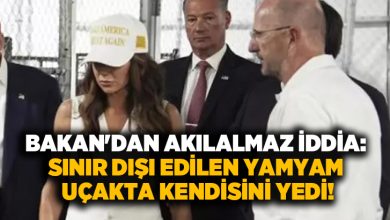 Bakan’dan akılalmaz iddia: Sınır dışı edilen yamyam uçakta kendisini yedi!