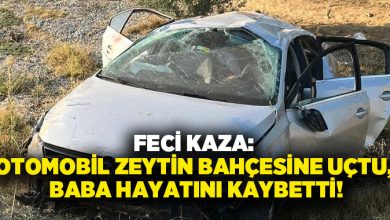 Feci Kaza: Otomobil zeytin bahçesine uçtu, baba hayatını kaybetti!
