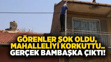 Görenler şok oldu, Mahalleliyi korkuttu.. Gerçek bambaşka çıktı!