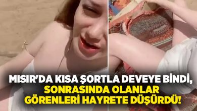 Mısır’da kısa şortla deveye bindi, sonrasında olanlar görenleri hayrete düşürdü!