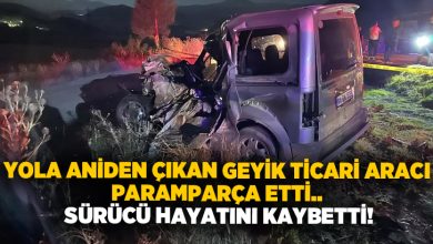 Yola aniden çıkan geyik ticari aracı paramparça etti.. Sürücü hayatını kaybetti!