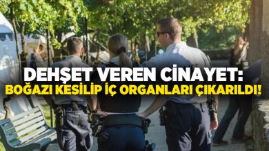 Dehşet veren cinayet: Boğazı kesilip iç organları çıkarıldı!