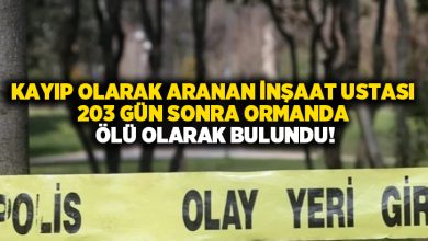 Kayıp olarak aranan inşaat ustası 203 gün sonra ormanda ölü olarak bulundu!