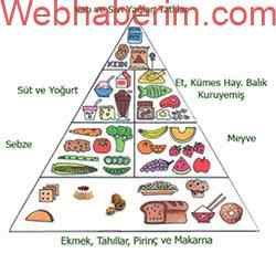 Besin piramidi nedir?