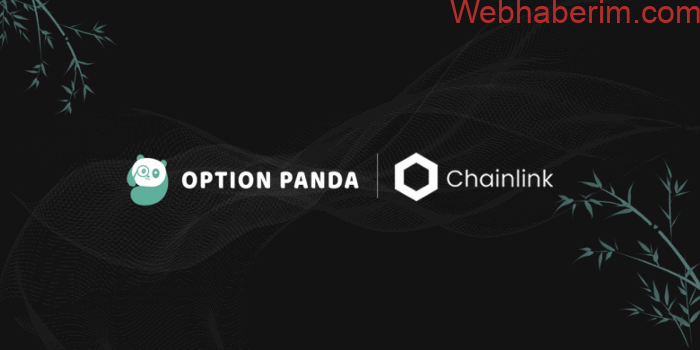 Option Panda (OPA) Token Nedir? OptionPanda (OPA) Coin Geleceği