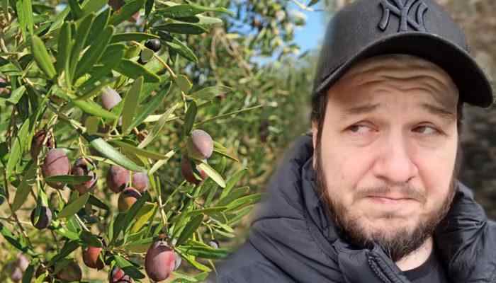 Şahan Gökbakar: Zeytin ağaçlarına asla dokunulmamalıdır