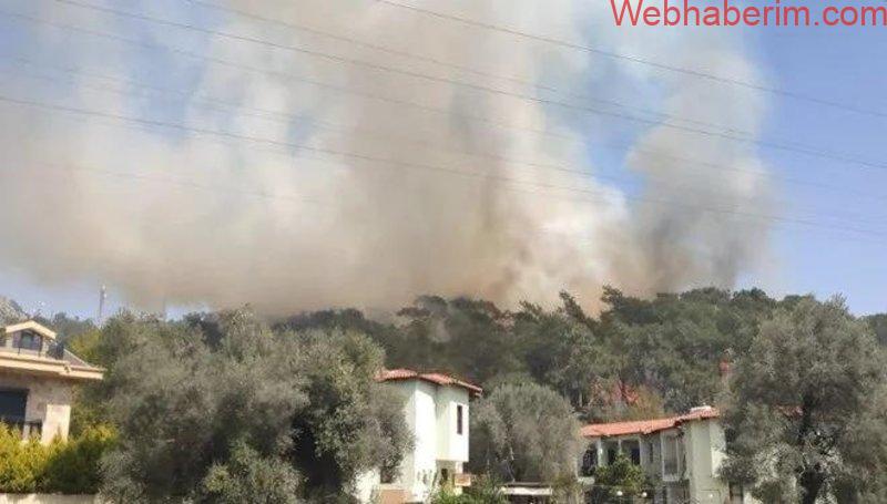 Son dakika orman yangınları yine mi başladı! Fethiye’de orman yangını başladı: Çalışmalar sürüyor