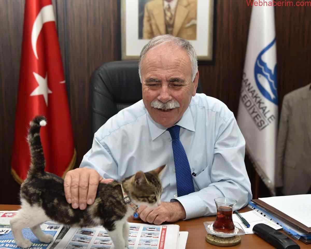 Çanakkale Belediye Başkanı kim? kaç yaşında, nereli? Ülgür Gökhan Çanakkale Belediyesi hangi partiden?