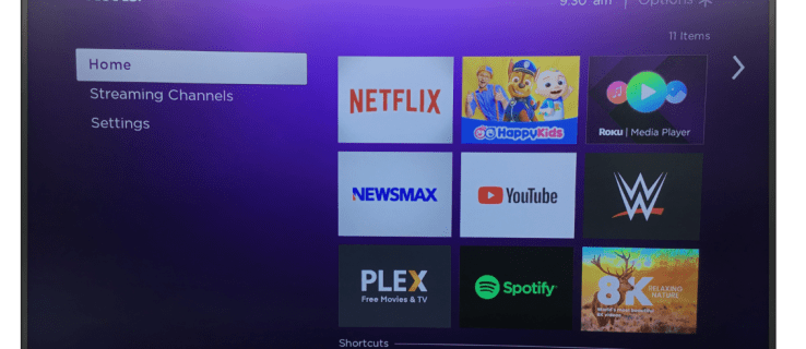 How to Mirror an iPad to a Roku Device