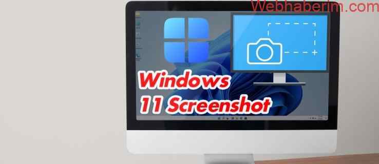 How to Take a Screenshot in Windows 11