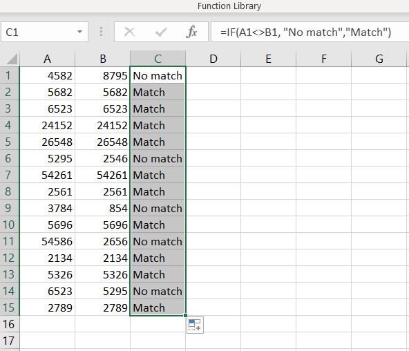 Excel If Function Results - No match and Match