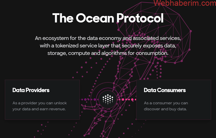 Ocean Protokol (OCEAN) coin nedir, nasıl alınır? Geleceği var mı?