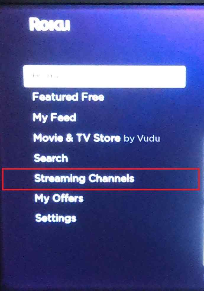 Roku Homepage - Streaming Channels