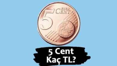 5 Cent Kaç TL