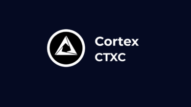 CTXC Coin Nedir? Cortex (CTXC) Nasıl Çalışır?