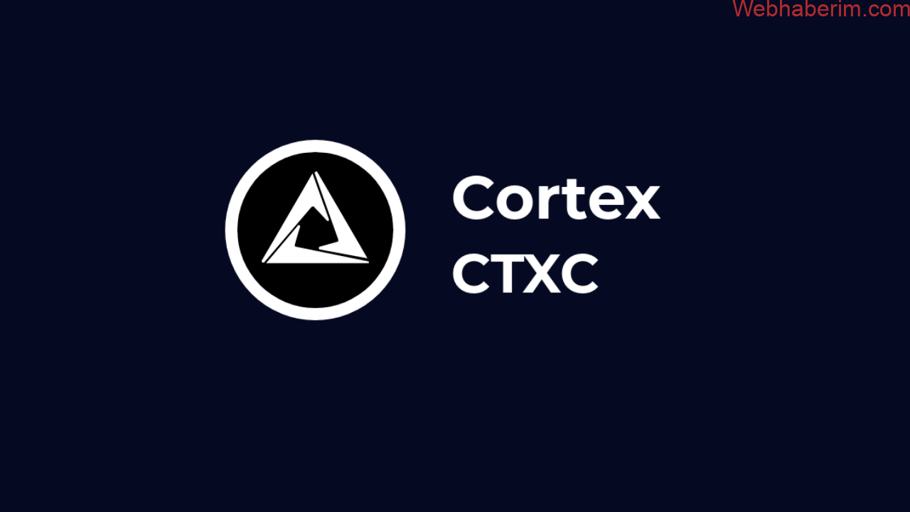CTXC Coin Nedir? Cortex (CTXC) Nasıl Çalışır?