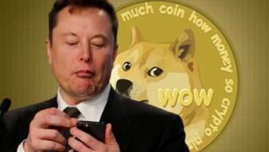 Elon Musk, Twitter’ın Dogecoin’i Ödeme Aracı Olarak Kullanabileceğine İlişkin Bir Öneride Bulundu