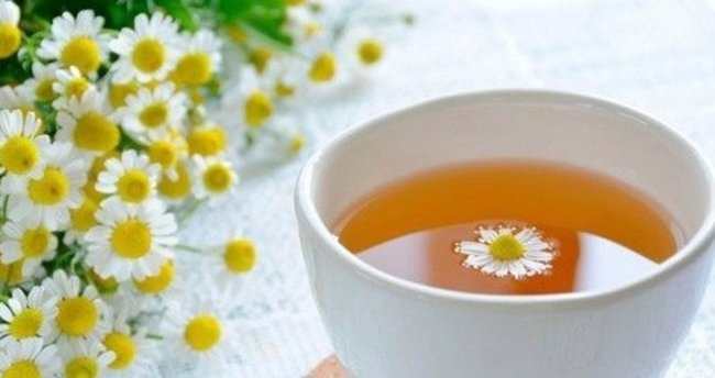 Papatya çayının faydaları ve yan etkileri