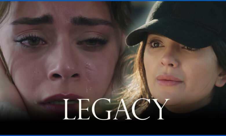 Legacy 364