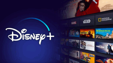 Disney Plus Gri Dizisi Ne Zaman Başlayacak? Gri Dizi Konusu, Oyuncuları