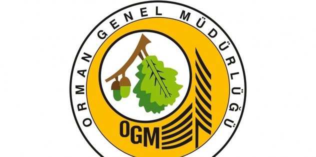 OGM İŞKUR BAŞVURU | Orman Genel Müdürlüğü İŞKUR işçi alımı ne zaman yapacak? OGM işçi alımı başvuru tarihleri ve şartları