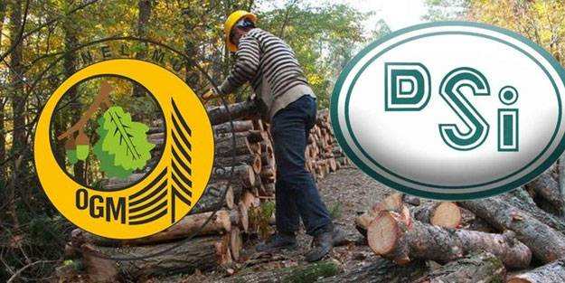Orman Genel Müdürlüğü ve Devlet Su İşleri personel alımı başladı!