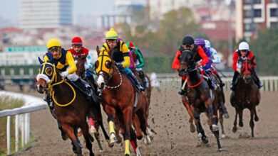 Yasa Teklifi ile At Yarışı Gelirleri, Varlık Fonu'na Aktarılacak