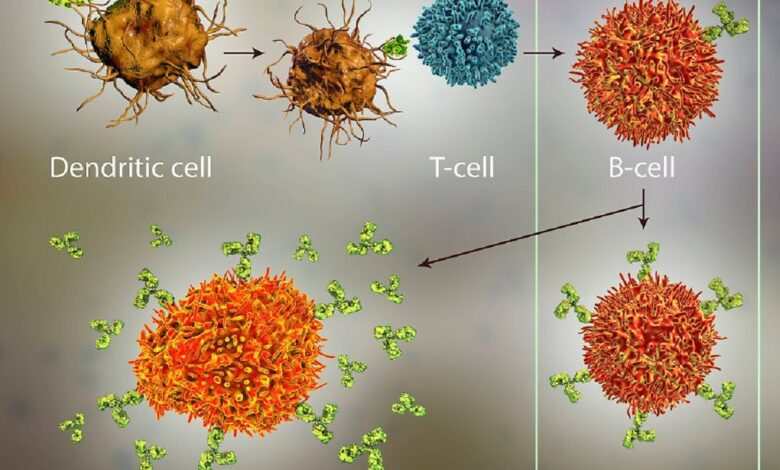 Epitoplar: Covid-19 aşı için temel: T hücreleri Sars-CoV-2 ile başlar