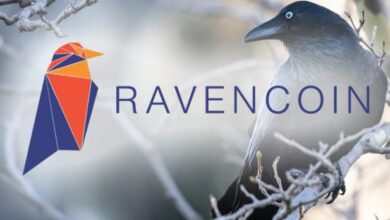 Ravencoin nedir? RVN token gelecek vadediyor mu?