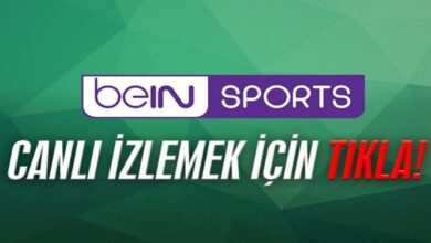 BB Erzurumspor - İstanbulspor maçı CANLI İZLE (25.05.2022)