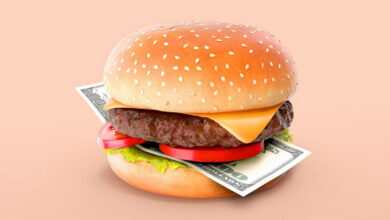 Burger Coin Geleceği ve Yorumları 2022