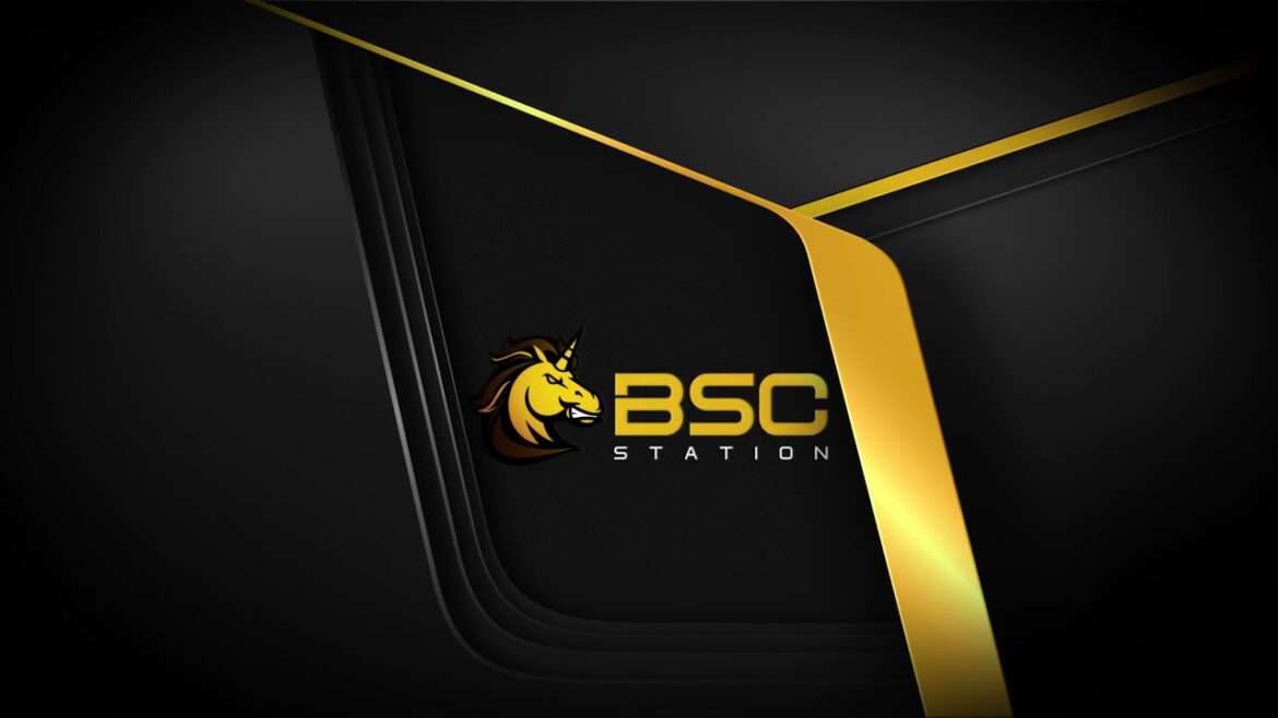 BSC Coin Nedir? BSC Coin Geleceği ve Yorumları (Binance Smart Chain)