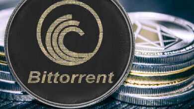 BitTorrent Coin Geleceği ve Yorumları 2022