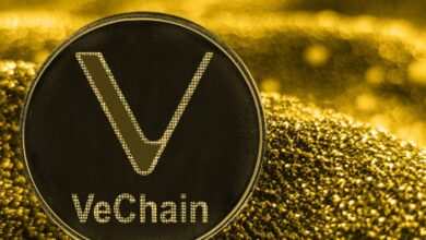 VeChain Coin Geleceği ve Yorumları (2022 2025 2030)