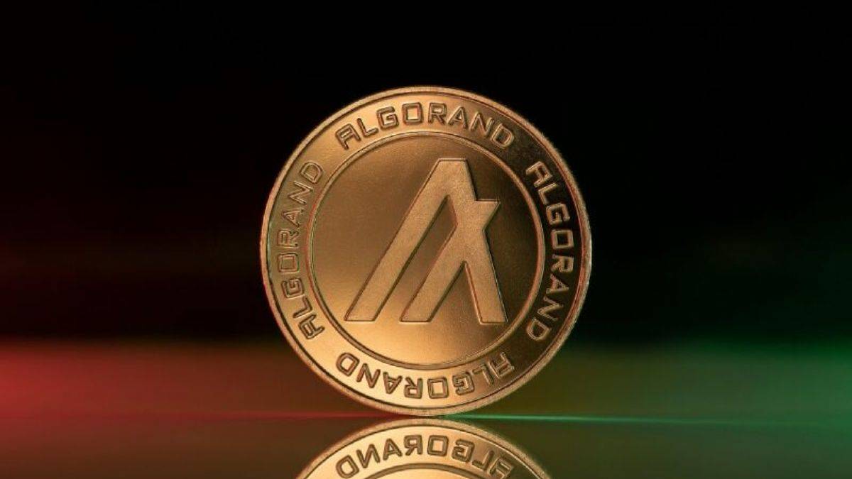 Algorand ALGO Coin Nedir? Algorand ALGO Coin Geleceği 2022, 2023, 2025, 2030