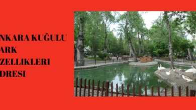 Ankara Kugulu Park Ozellikleri Adresi