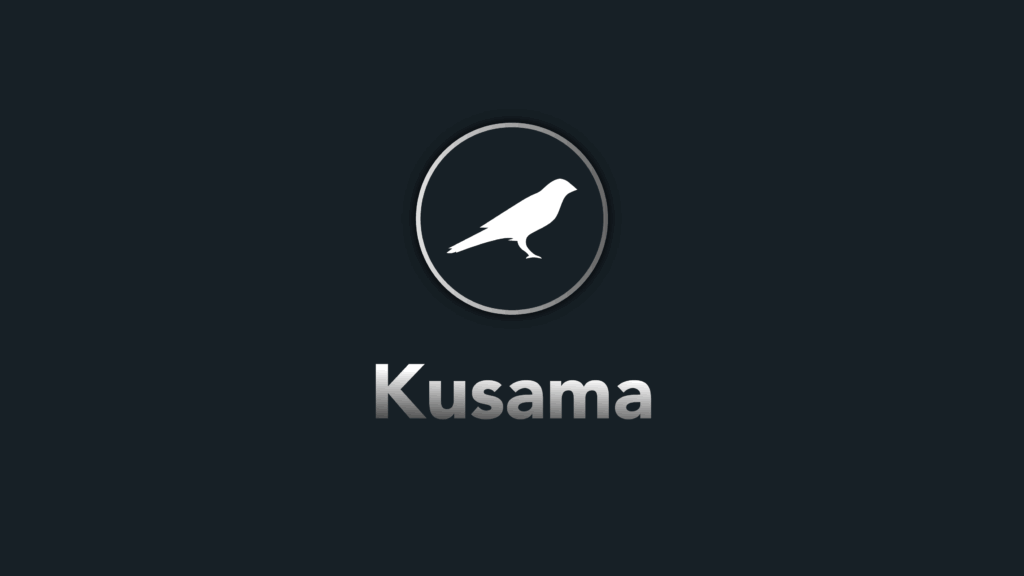 Kusama Coin Nedir? KSM Coin Geleceği! KSM Coin Fiyat Tahmini?