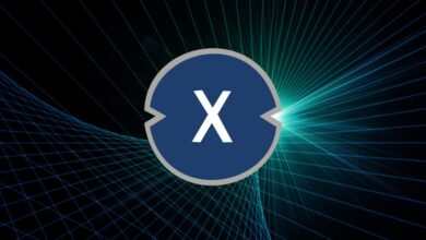 XinFin Network! XDC Coin Nedir? XDC Coin Geleceği! XDC Coin Yorum, Analiz ve Fiyat Tahmini!